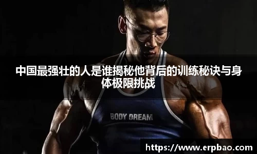 乐球直播免费在线观看