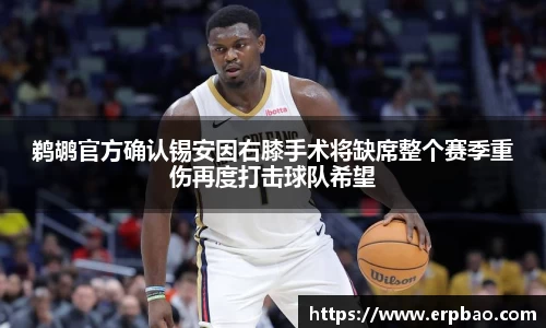 乐球直播免费在线观看